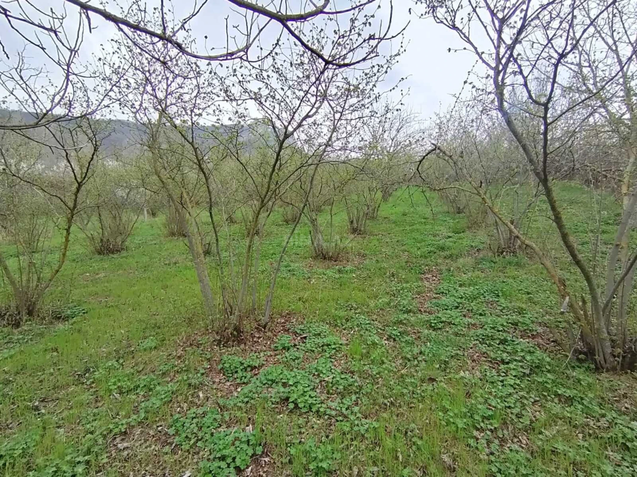 Satılır torpaq sahəsi 1 m²