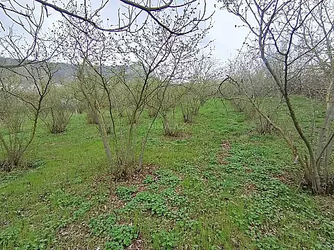 Satılır torpaq sahəsi 1 m²