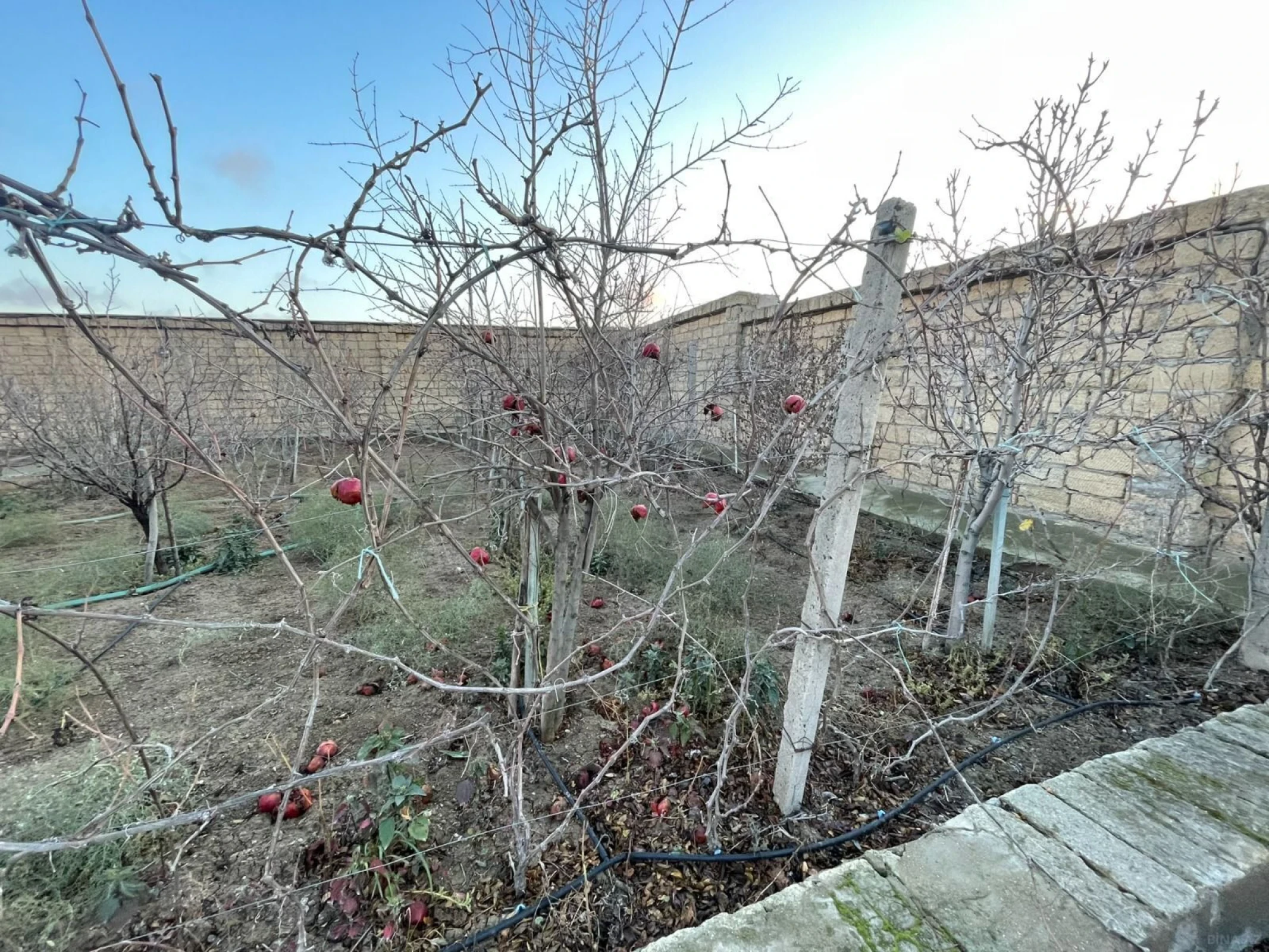 Satılır 8 otaqlı həyət evi 280 m²