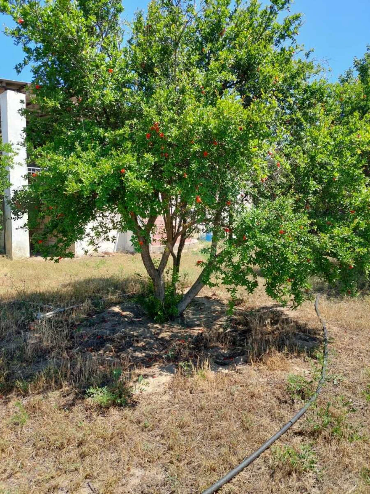 Satılır 3 otaqlı həyət evi 150 m²