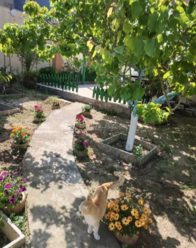 Satılır 4 otaqlı həyət evi 200 m²