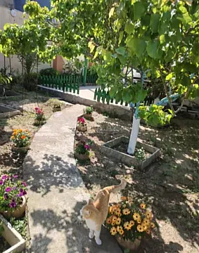 Satılır 4 otaqlı həyət evi 200 m² — Bakı, Buzovna 4 otaq 200.00 m²