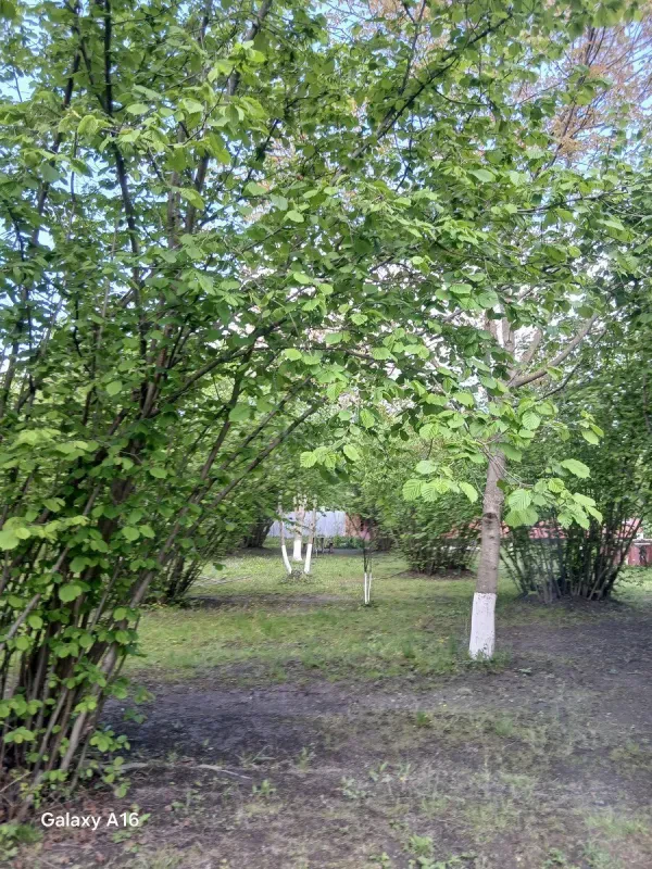 Satılır torpaq sahəsi 10 m²