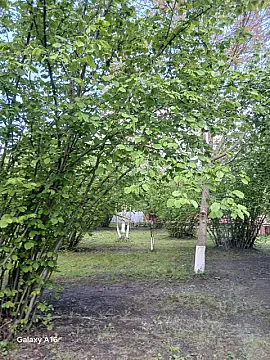 Satılır torpaq sahəsi 10 m² — Qəbələ 10.00 m²