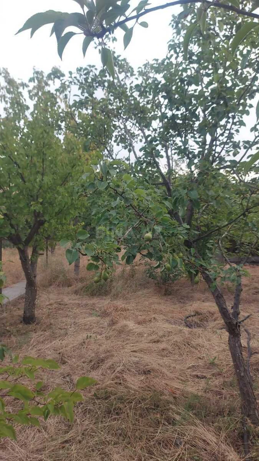 Satılır 6 otaqlı həyət evi 338 m²