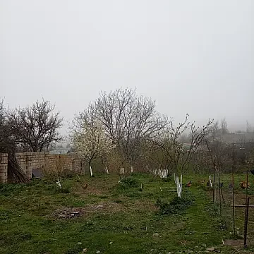 Satılır torpaq sahəsi 10 m² — Şamaxı 10.00 m²