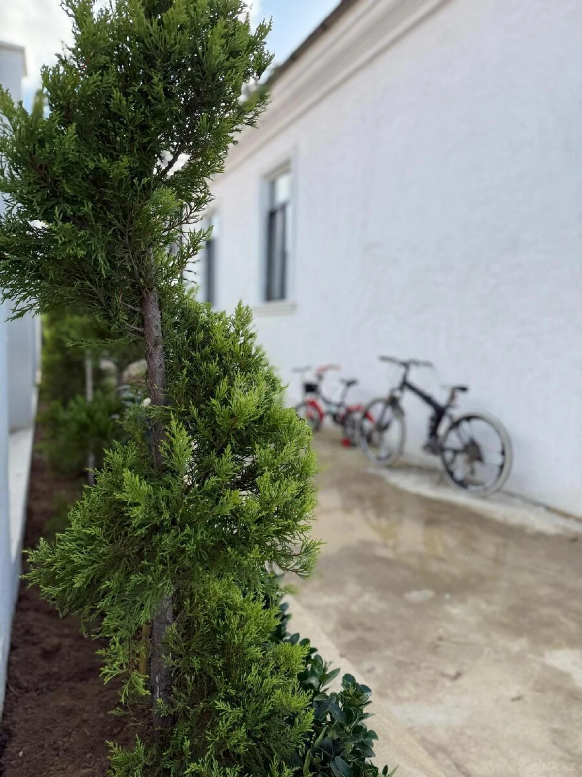 Kirayə verilir 4 otaqlı həyət evi 210 m²