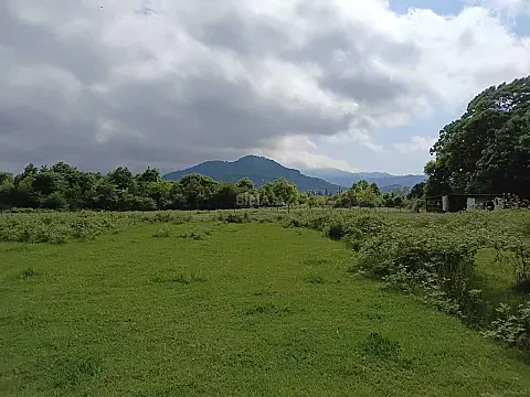Satılır torpaq sahəsi 60 m²
