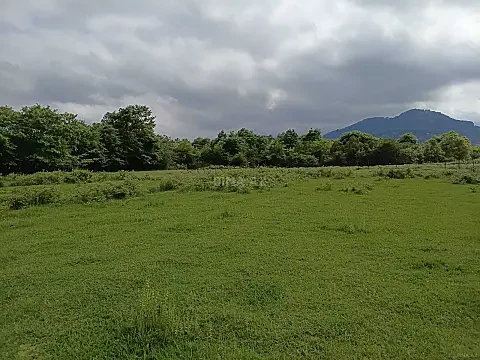 Satılır torpaq sahəsi 60 m²