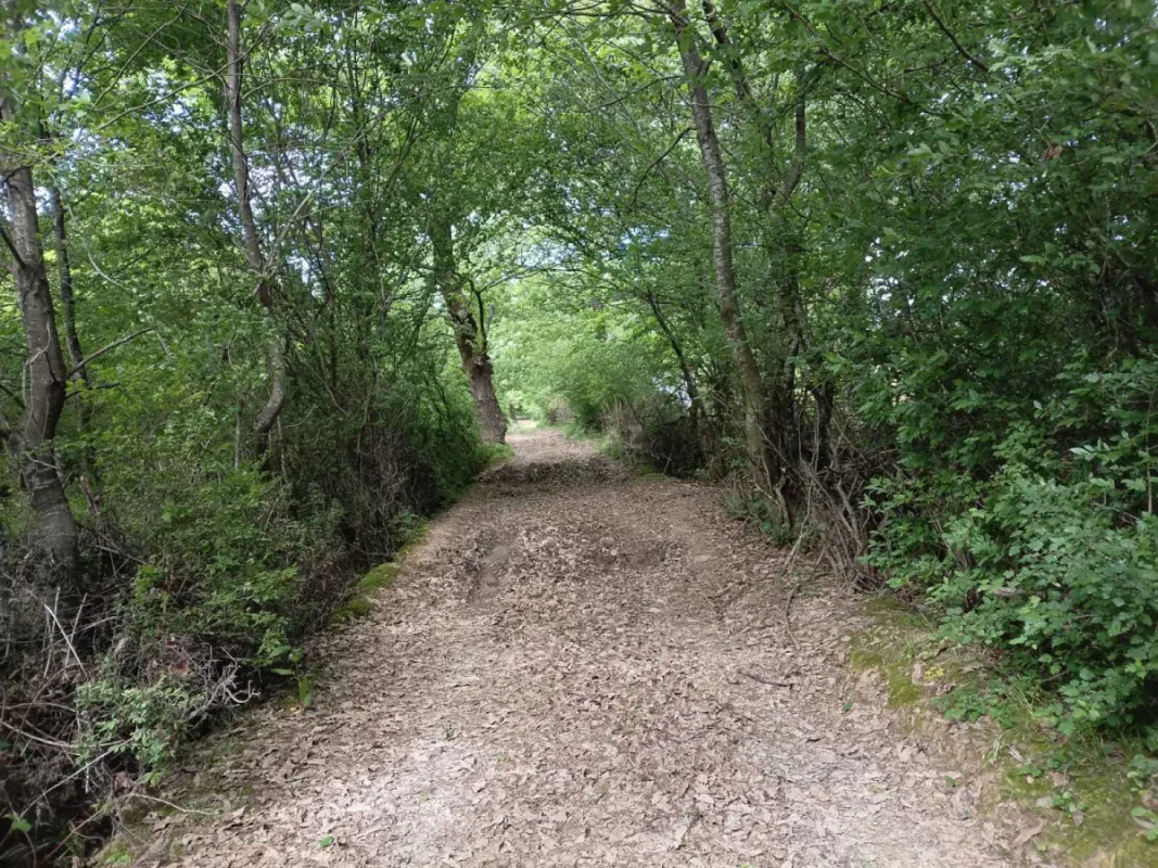 Satılır torpaq sahəsi 60 m²