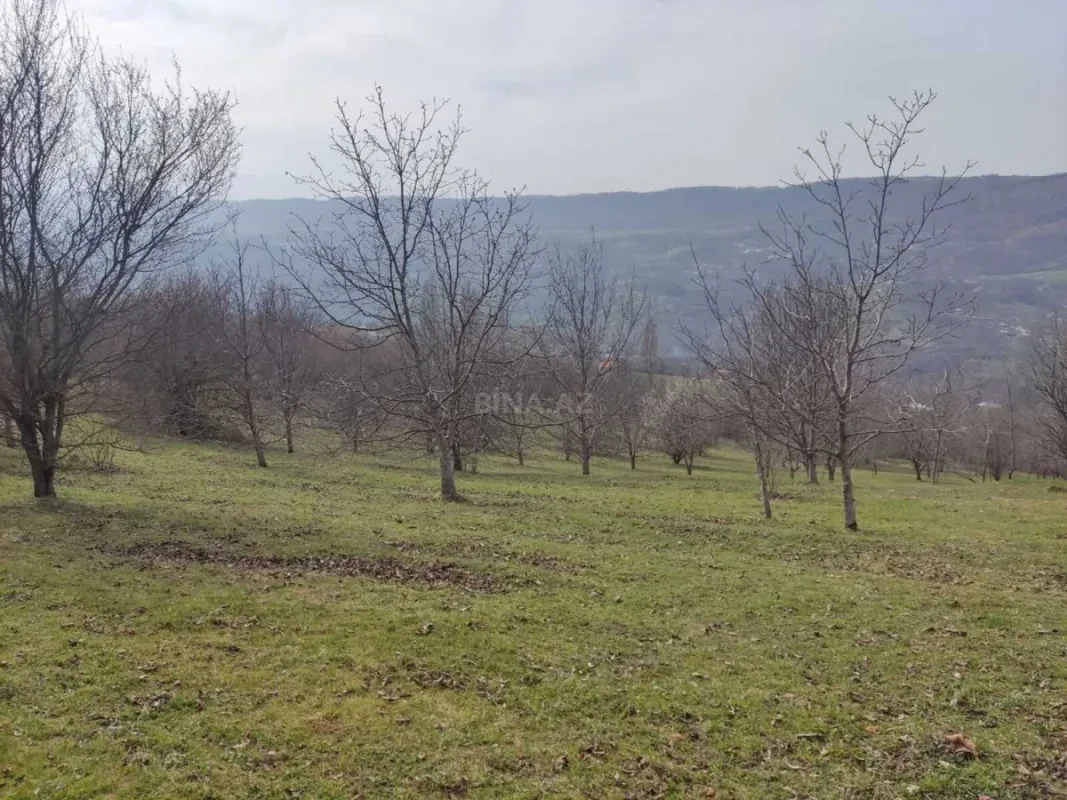 Satılır torpaq sahəsi 28 m²