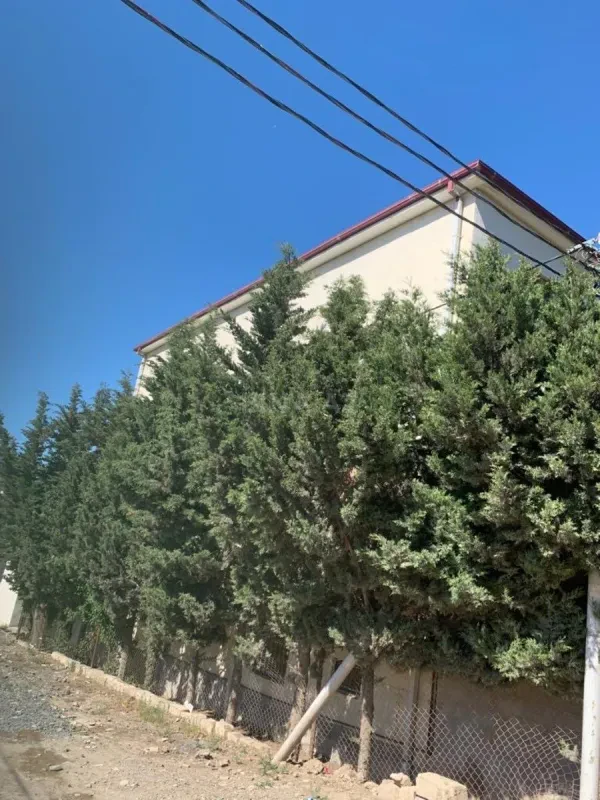 Kirayə verilir 9 otaqlı həyət evi 675 m²