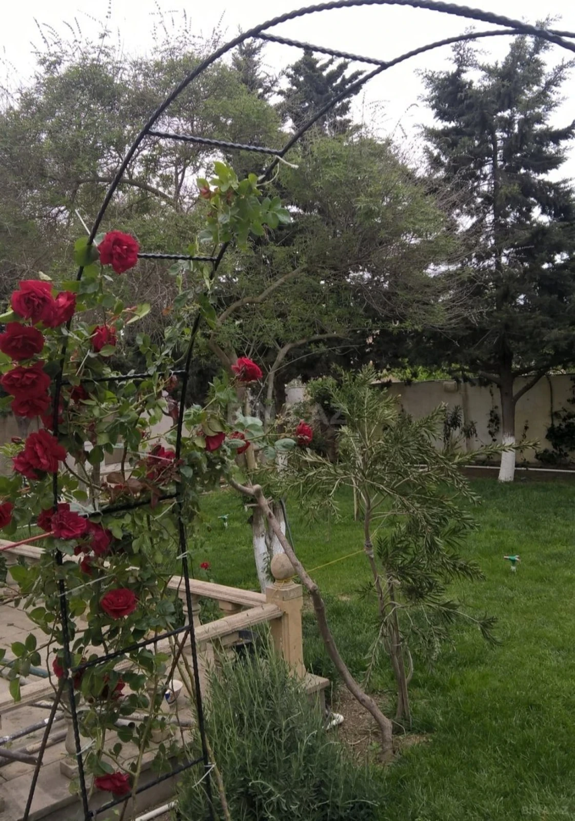 Kirayə verilir 6 otaqlı həyət evi 250 m²