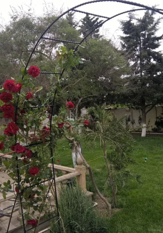 Kirayə verilir 6 otaqlı həyət evi 250 m²