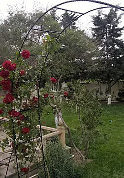 Kirayə verilir 6 otaqlı həyət evi 250 m²