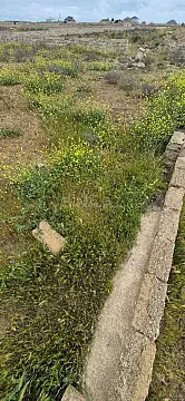 Satılır torpaq sahəsi 5.6 m² — Bakı, Türkan 5.60 m²