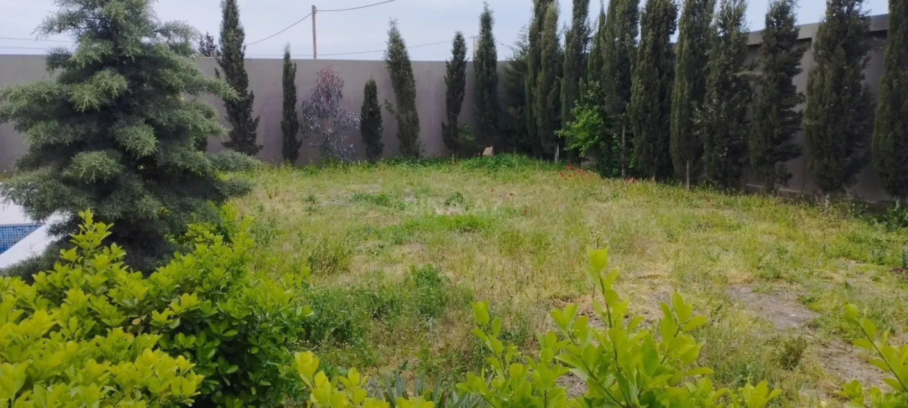 Kirayə verilir 5 otaqlı həyət evi 250 m²