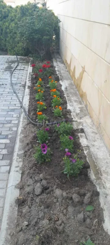 Kirayə verilir 6 otaqlı həyət evi 300 m²
