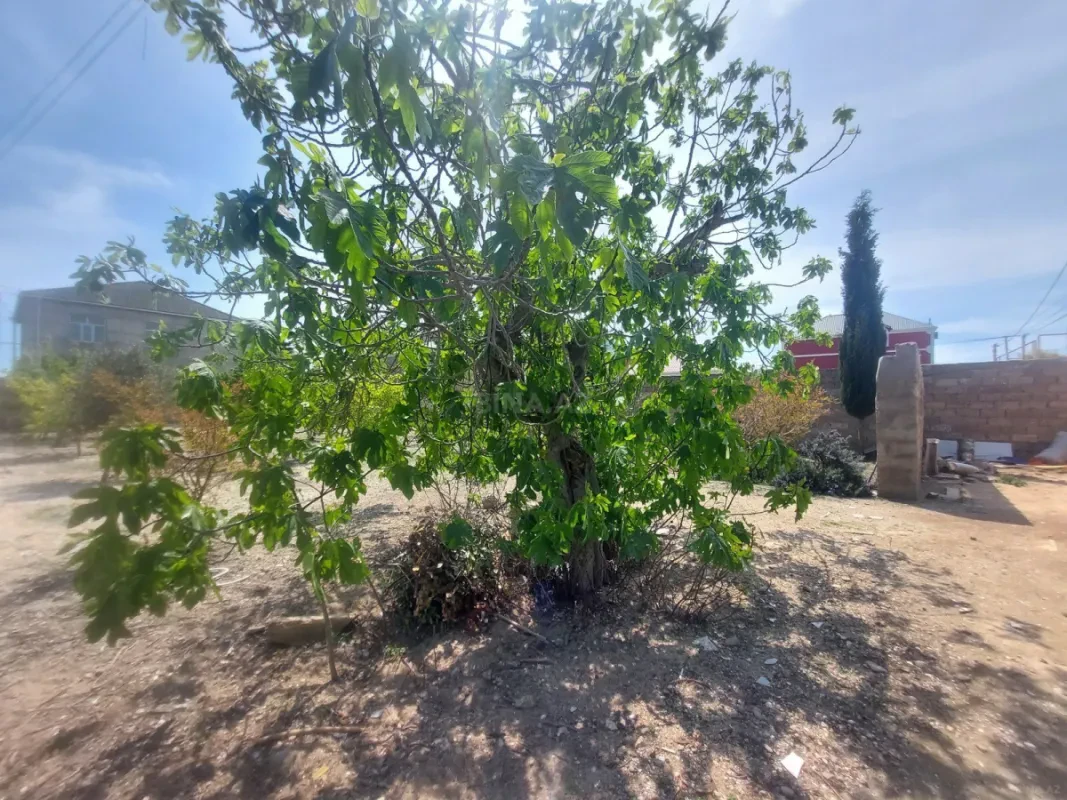 Satılır torpaq sahəsi 5.5 m²