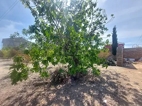 Satılır torpaq sahəsi 5.5 m² — Bakı, Hövsan 5.50 m²
