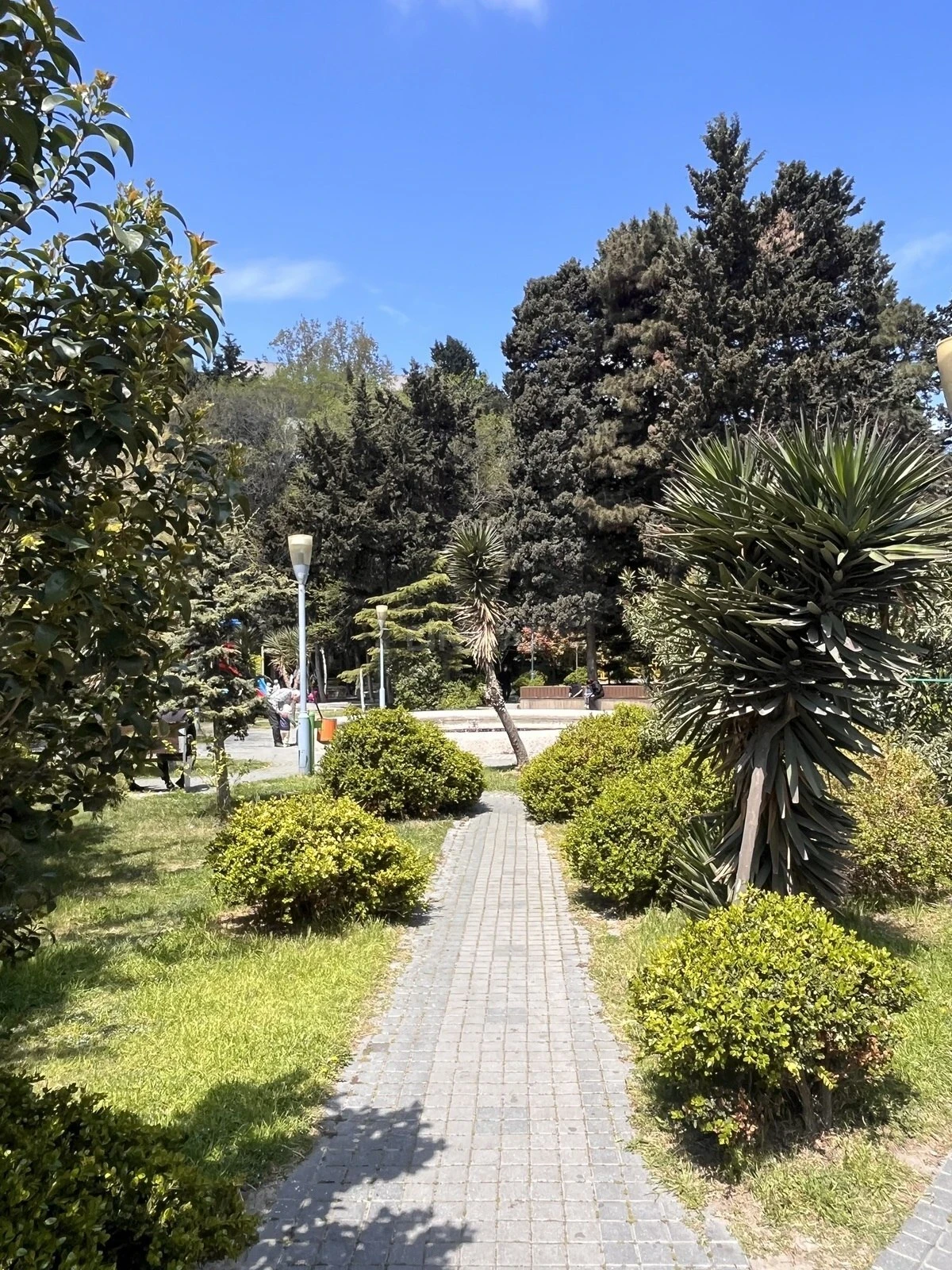 Satılır obyekt 326 m²