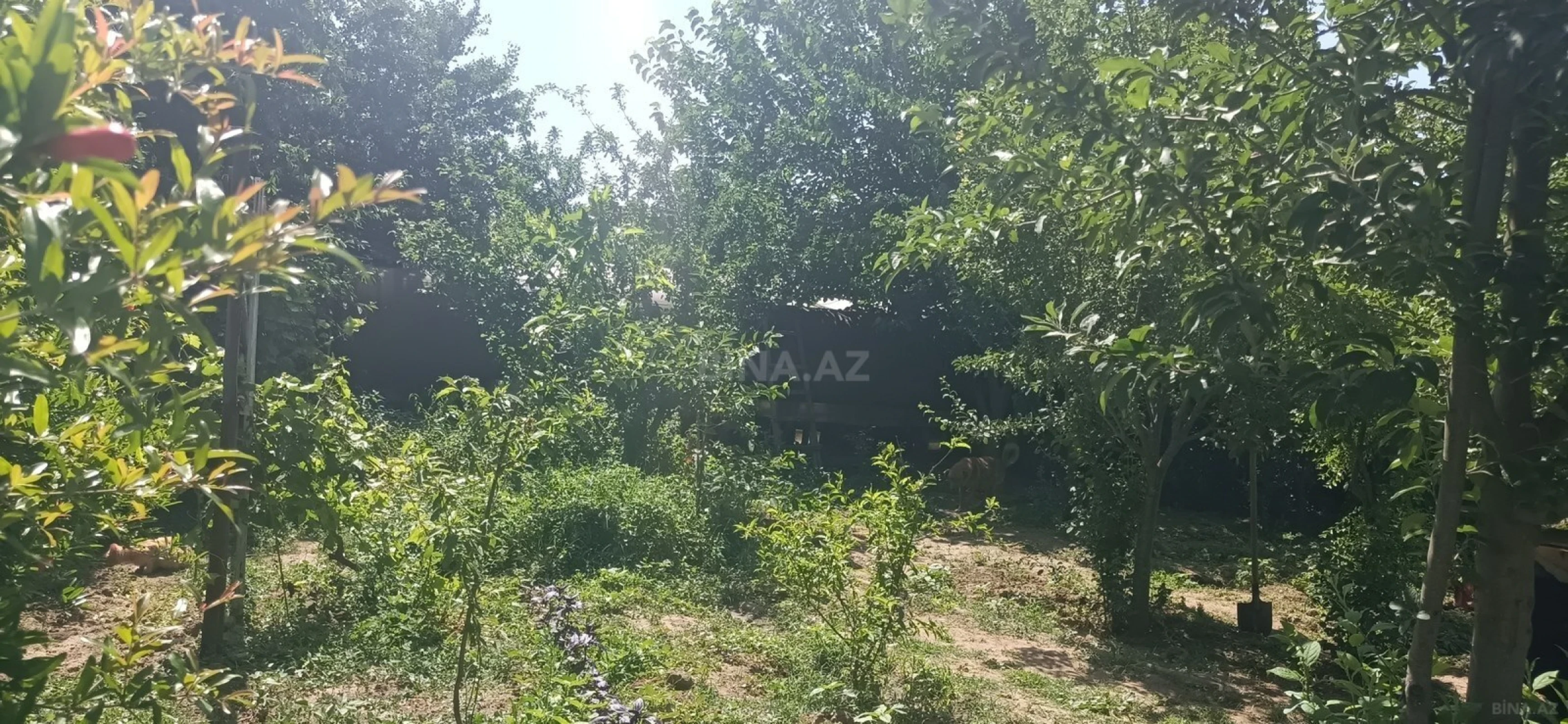 Satılır 5 otaqlı həyət evi 120 m²
