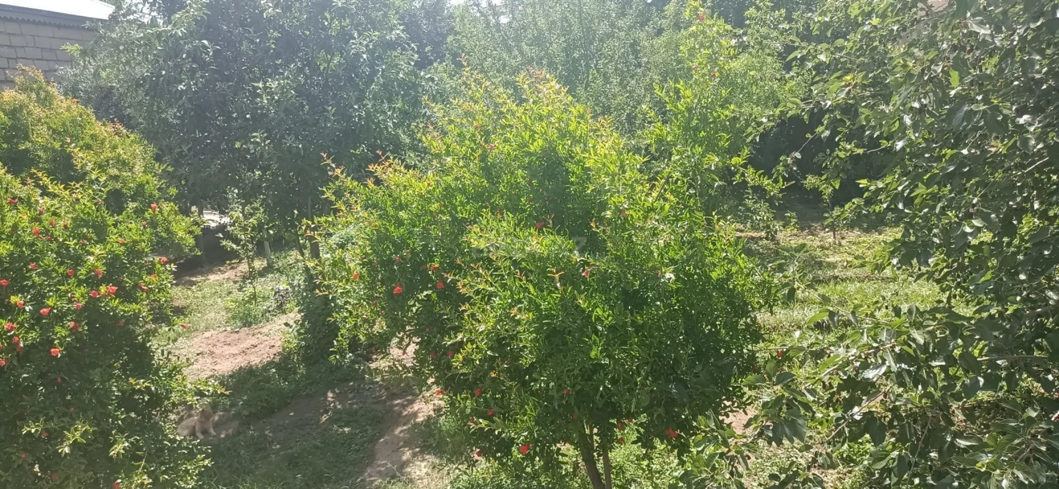 Satılır 5 otaqlı həyət evi 120 m²