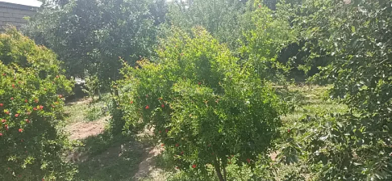 Satılır 5 otaqlı həyət evi 120 m²