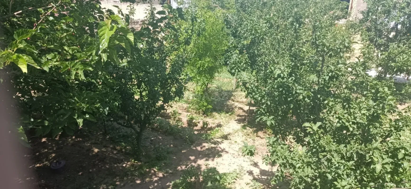 Satılır 5 otaqlı həyət evi 120 m²