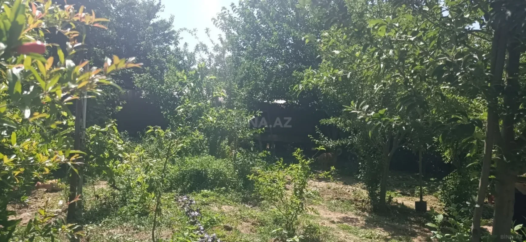 Satılır 5 otaqlı həyət evi 120 m²