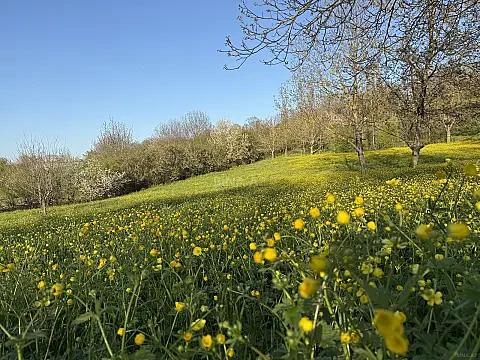 Satılır torpaq sahəsi 8 m² — Qusar 8.00 m²