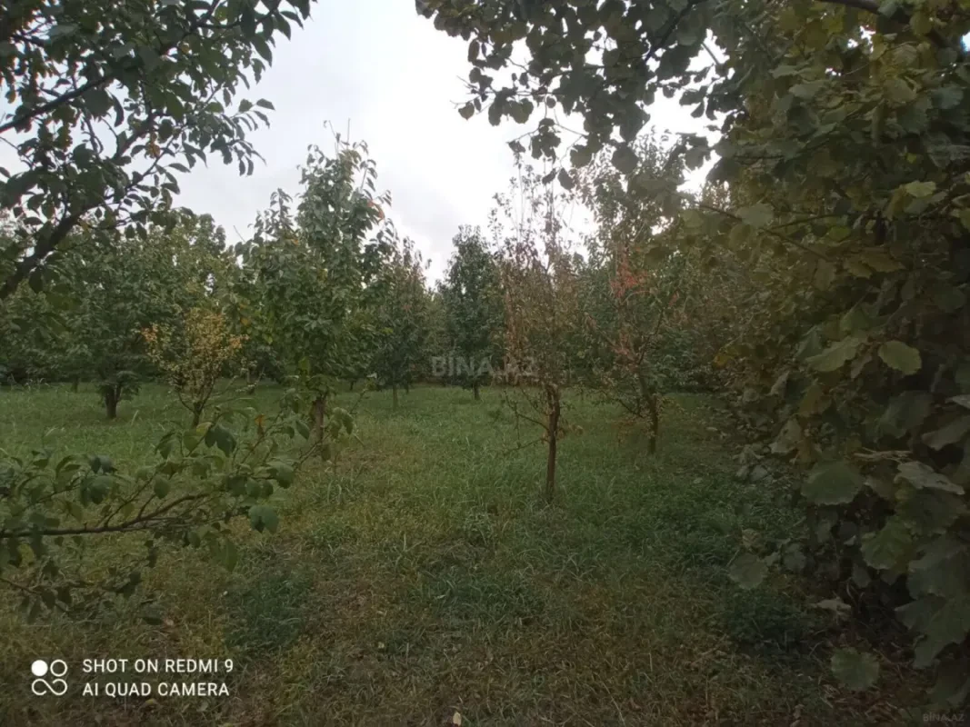 Satılır torpaq sahəsi 8 m²