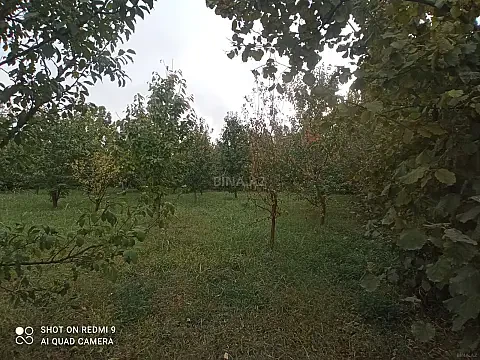 Satılır torpaq sahəsi 8 m² — Quba 8.00 m²