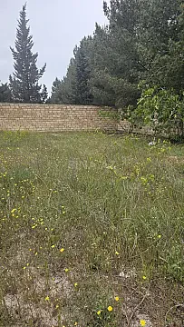 Satılır torpaq sahəsi 4 m² — Bakı, Novxanı 4.00 m²