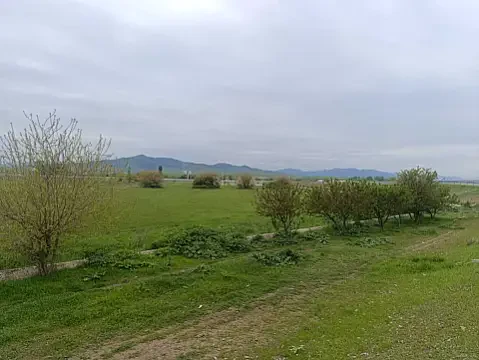 Satılır torpaq sahəsi 55 m² — Ağstafa 55.00 m²