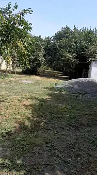 Satılır torpaq sahəsi 75 m² — Qəbələ 75.00 m²