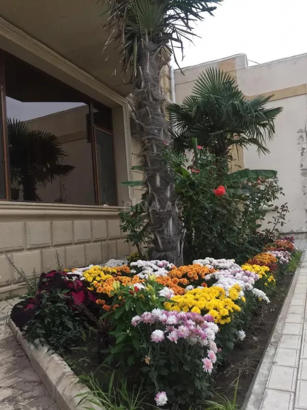 Satılır 5 otaqlı həyət evi 800 m²