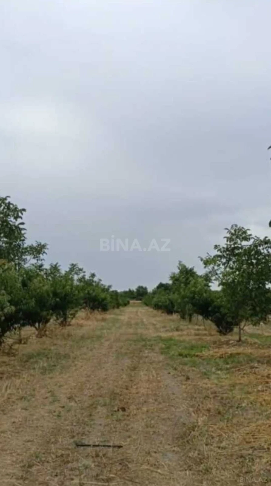 Satılır torpaq sahəsi 127 m²
