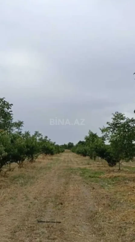 Satılır torpaq sahəsi 127 m²