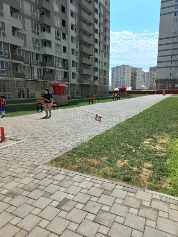 Kirayə verilir 2 otaqlı mənzil 50 m²
