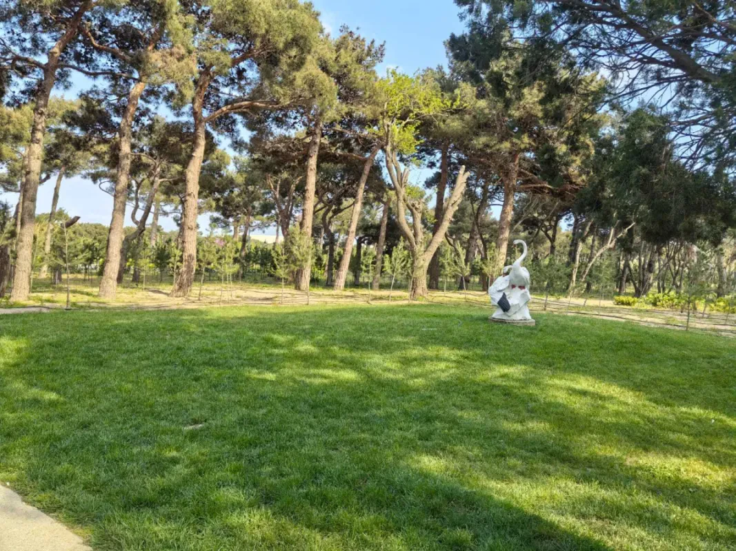 Kirayə verilir 2 otaqlı mənzil 79 m²