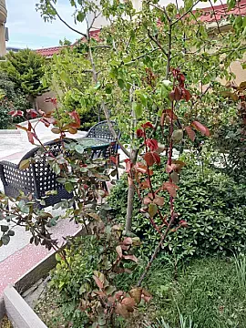 Satılır 9 otaqlı həyət evi 800 m²