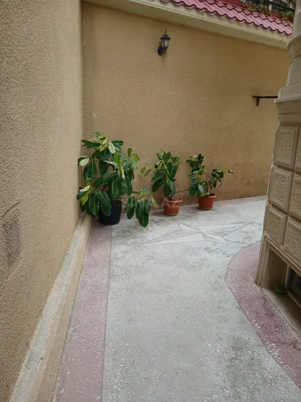 Satılır 9 otaqlı həyət evi 800 m²