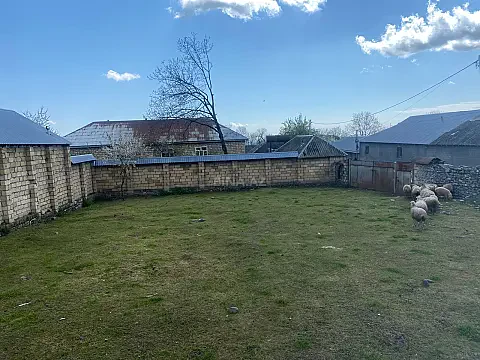 Satılır torpaq sahəsi 5.6 m² — Qəbələ 5.60 m²