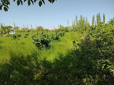 Satılır torpaq sahəsi 10 m² — Xaçmaz 10.00 m²
