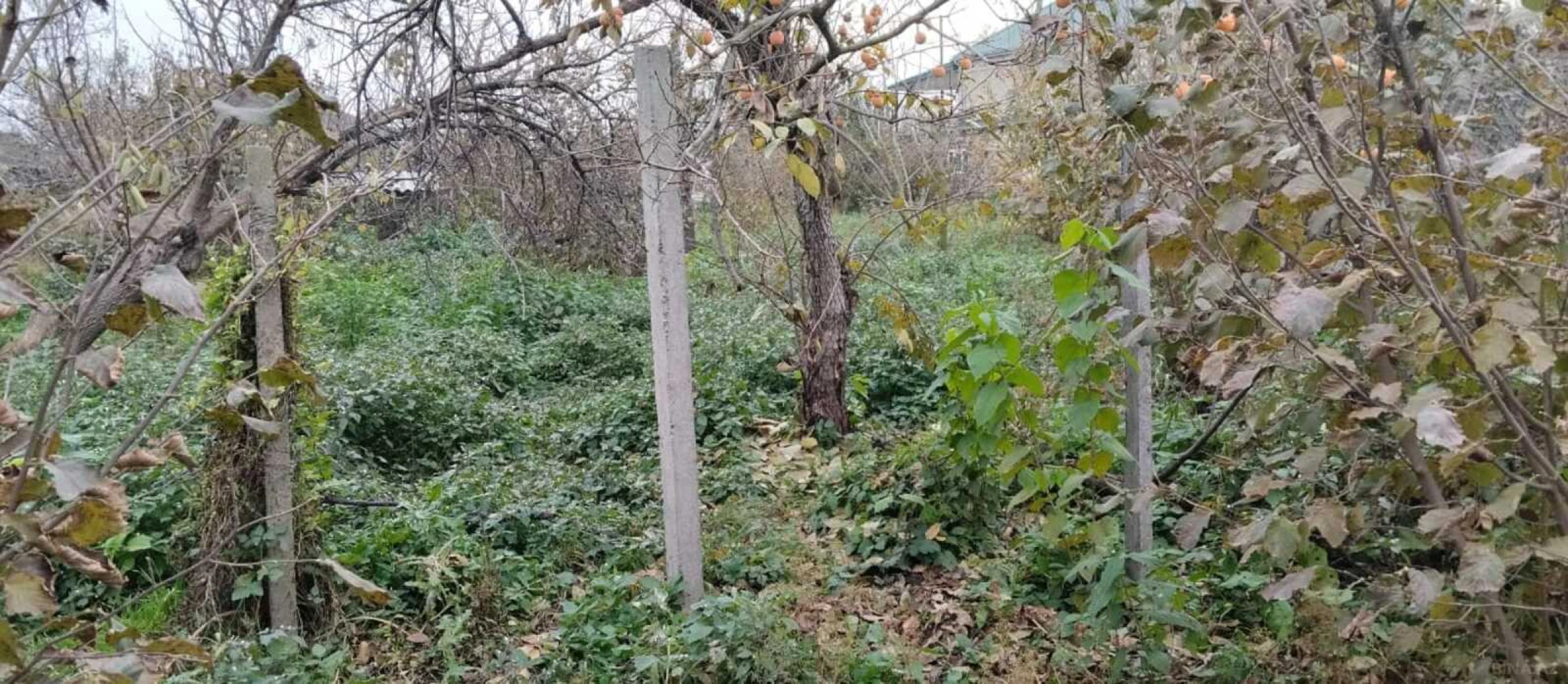 Satılır 5 otaqlı həyət evi 200 m²