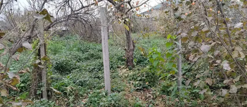 Satılır 5 otaqlı həyət evi 200 m²