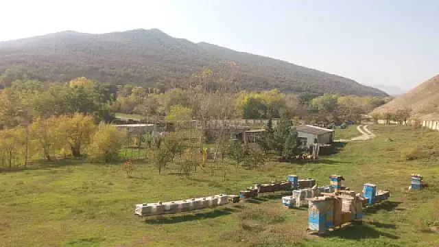 Satılır torpaq sahəsi 80 m² — Şabran 80.00 m²