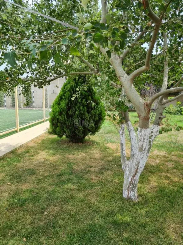 Kirayə verilir 5 otaqlı həyət evi 650 m²