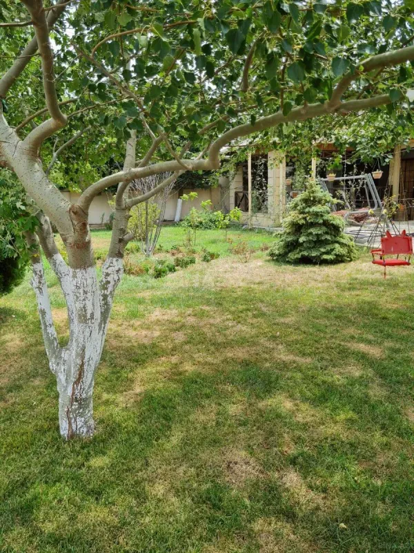 Kirayə verilir 5 otaqlı həyət evi 650 m²